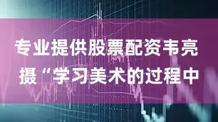 专业提供股票配资韦亮 摄“学习美术的过程中