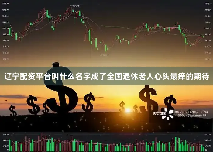 辽宁配资平台叫什么名字成了全国退休老人心头最痒的期待